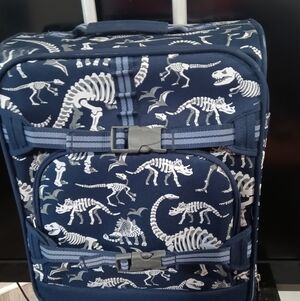 Dinasour Glowing bones.